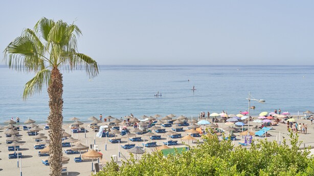 A beach with palm trees, umbrellas, and lounge chairs.