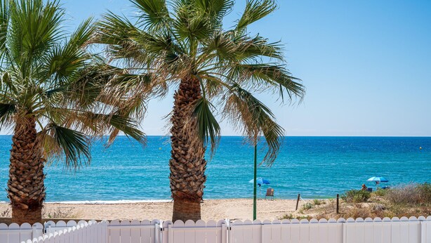 A beach view with palm trees and a white fence.