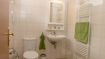Shower, hair dryer, towels, toilet paper