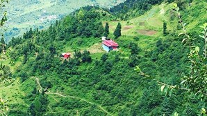 A mountainous landscape with two small buildings, one with a red roof and another with a blue roof, surrounded by dense greenery. - Mountains, jungle , Trekking and luxury stay near to nature (Dhanolti)