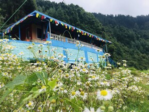 المنطقة المحيطة بالمنشأة