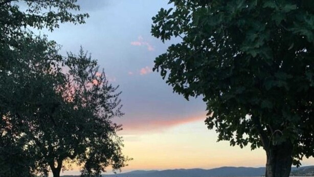 A swimming pool with two glasses of wine on the edge, surrounded by trees and a view of the sunset over a body of water. - Folaga Apartments, "Puntone" (Sant'Arcangelo)