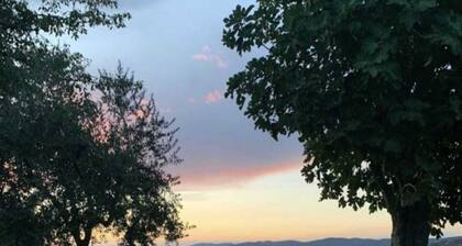 Folaga Apartments, "Puntone"