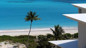 Une plage avec une vue imprenable sur une eau d’un bleu limpide, du sable blanc et des palmiers.
