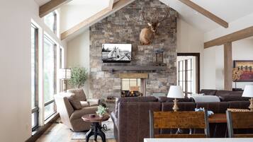 TV, fireplace, books