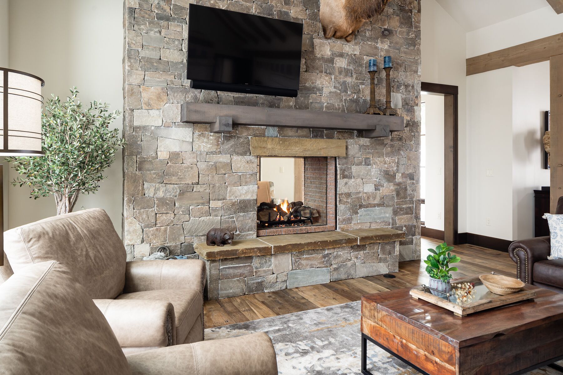 Televisión, chimenea y libros 