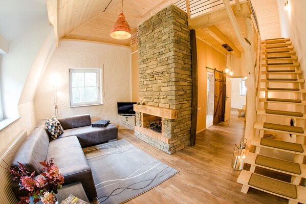 TV, books, computer monitors