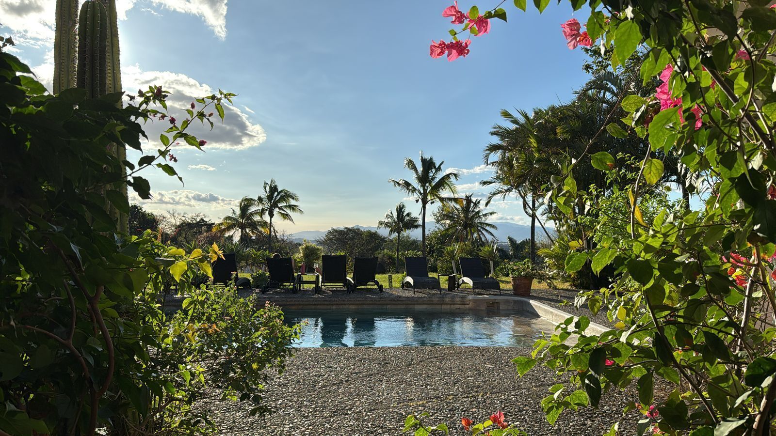 Area piscina con poltrona relax e palme.