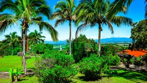 A tropical landscape with palm trees and lush greenery. - Canal Grande Lodge (Piedades)