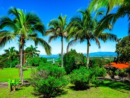Habitación Royal doble | Vistas desde la habitación