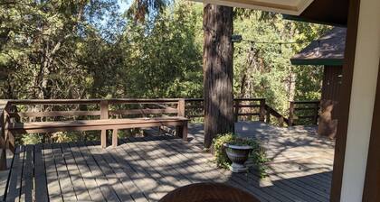 Pierce's Place