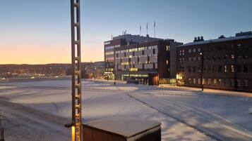 Appartamento Deluxe, 2 camere da letto, sauna, vista città | Vista dalla camera