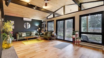 Smart TV, fireplace, video games, books