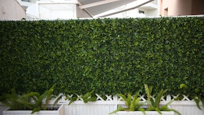 A white wooden fence with a lush green hedge behind it. - Incanto B&B (Cefalù)