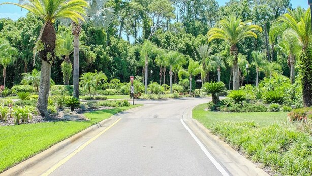Una carretera serpentea a través de un paisaje exuberante y verde, con palmeras y follaje denso.