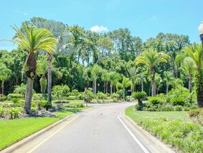 A road curving through a landscaped area with palm trees and other greenery. - Tranquil Saddlebrook 2bd/2ba Condo W/Views (Wesley Chapel)
