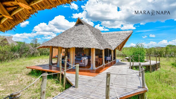 A thatched-roof structure with a wooden deck, surrounded by natural vegetation. - A perfect mix of uncluttered safari simplicity, muted khaki tones. (Talek)