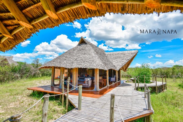 Property grounds - A perfect mix of uncluttered safari simplicity, muted khaki tones. (Talek)