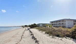 Plage, chaises longues