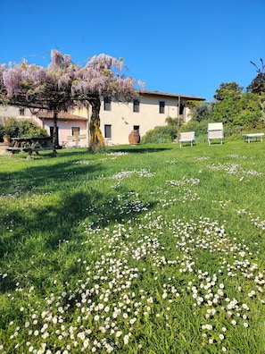 Edifici amb jardí, taula de picnic i gerra gran.
