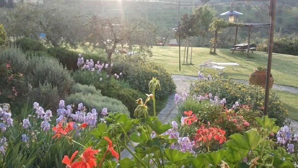 Un jardin agrémenté de diverses plantes et fleurs, un sentier et un ensemble de balançoires.