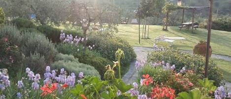 Terrein van de accommodatie