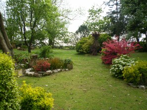 Área da propriedade