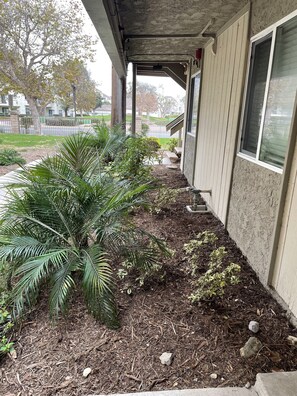 Property grounds - Luxurious Cozy Beach Front Condo!(Steps to the sand) (Port Hueneme)