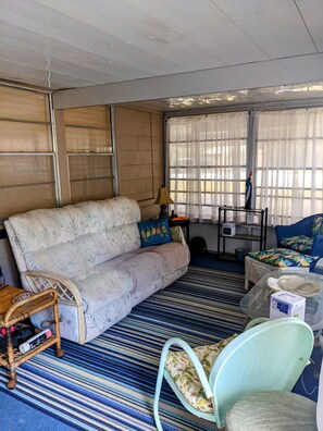 Smart TV, chimenea y libros 