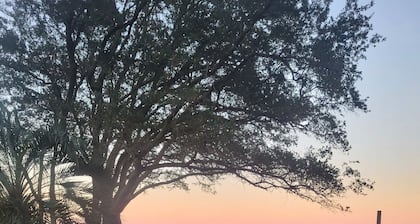 Peaceful 2BR Beach Condo with Pools, Tennis, Sauna, Gym & More!