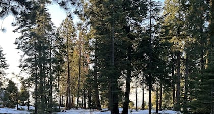Solitude in the Cedars, Spacious Mountain Home