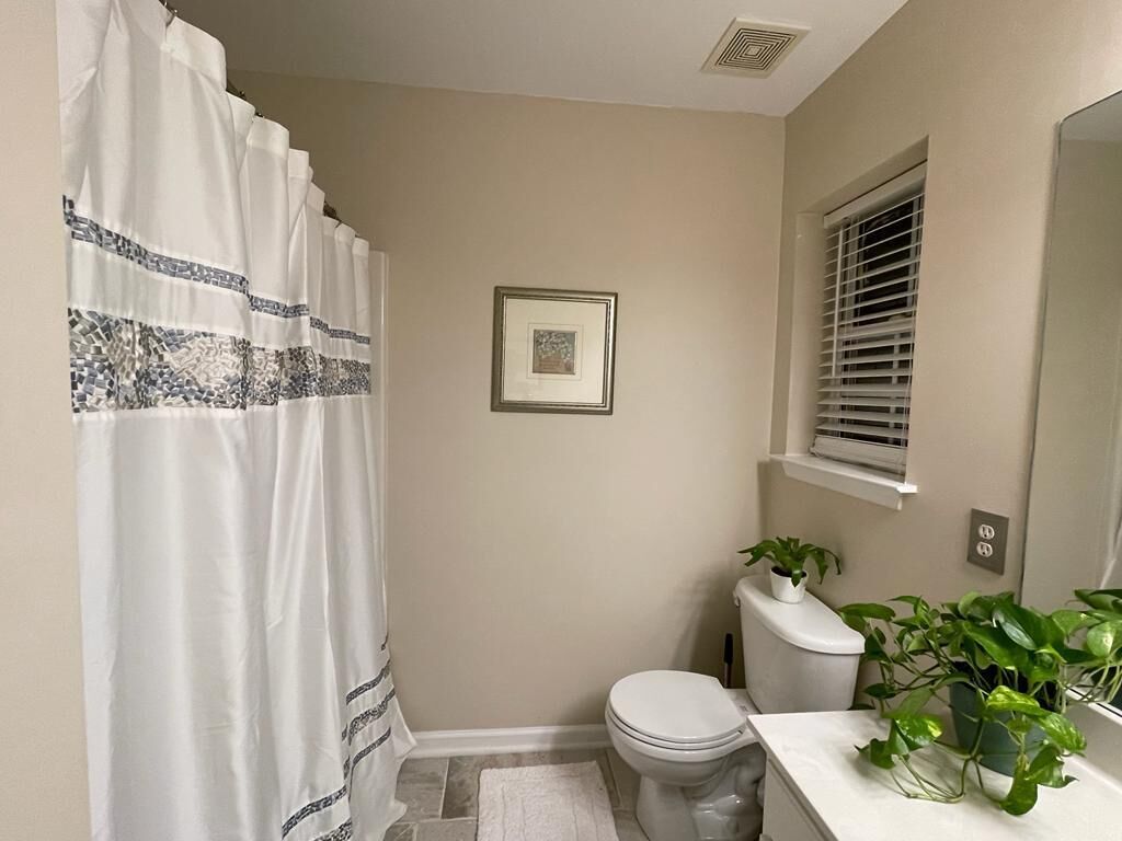 A bathroom with a toilet, a shower curtain, a framed picture on the wall, a window with blinds, and a potted plant.
