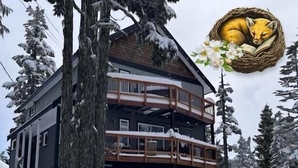 Un chalet à plusieurs étages doté de balcons, entouré d’arbres couverts de neige.