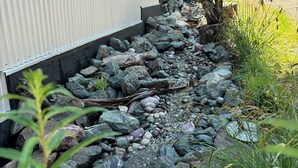 Un sentier bordé de roches et de plantes mène à un bâtiment dont la façade est recouverte de tôles ondulées.