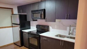 Una cocina compacta con armarios oscuros, un microondas, una hornilla y un lavabo.