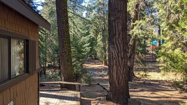 Una baita con facciata in legno, circondata da alberi alti e un sentiero sterrato che porta a una costruzione con tetto verde in lontananza.
