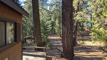 Áreas de la propiedad. Kings Cabin in Wilsonia