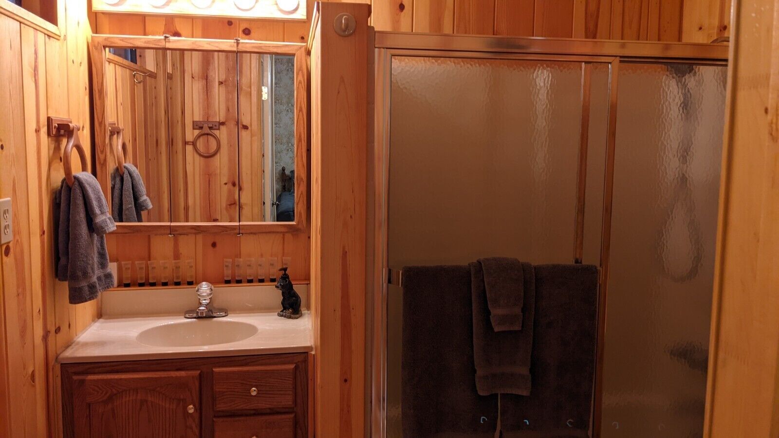 Combined shower/tub, towels, soap, shampoo