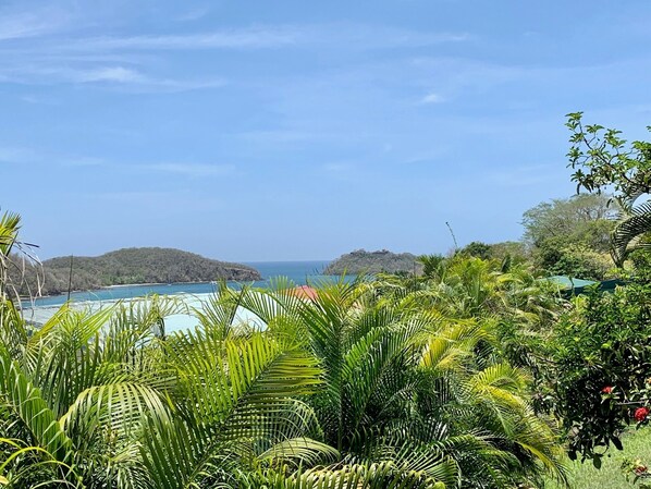 Property grounds - Large T3 on the ground floor of a villa with shared pool 5 minutes from the beach and shops (TROIS ILETS)