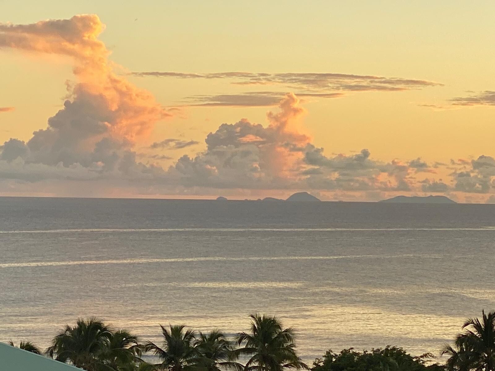 Eine Küstenansicht bei Sonnenuntergang, ruhiges Meer und Palmen.