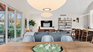 Smart TV, fireplace, books