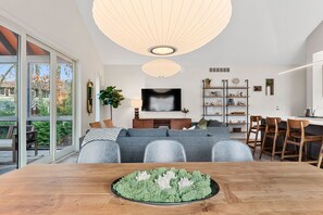 Smart TV, fireplace, books