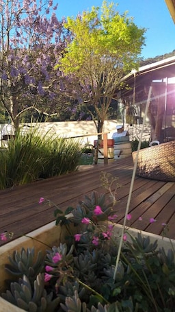 Deluxe Suite | Terrace/patio