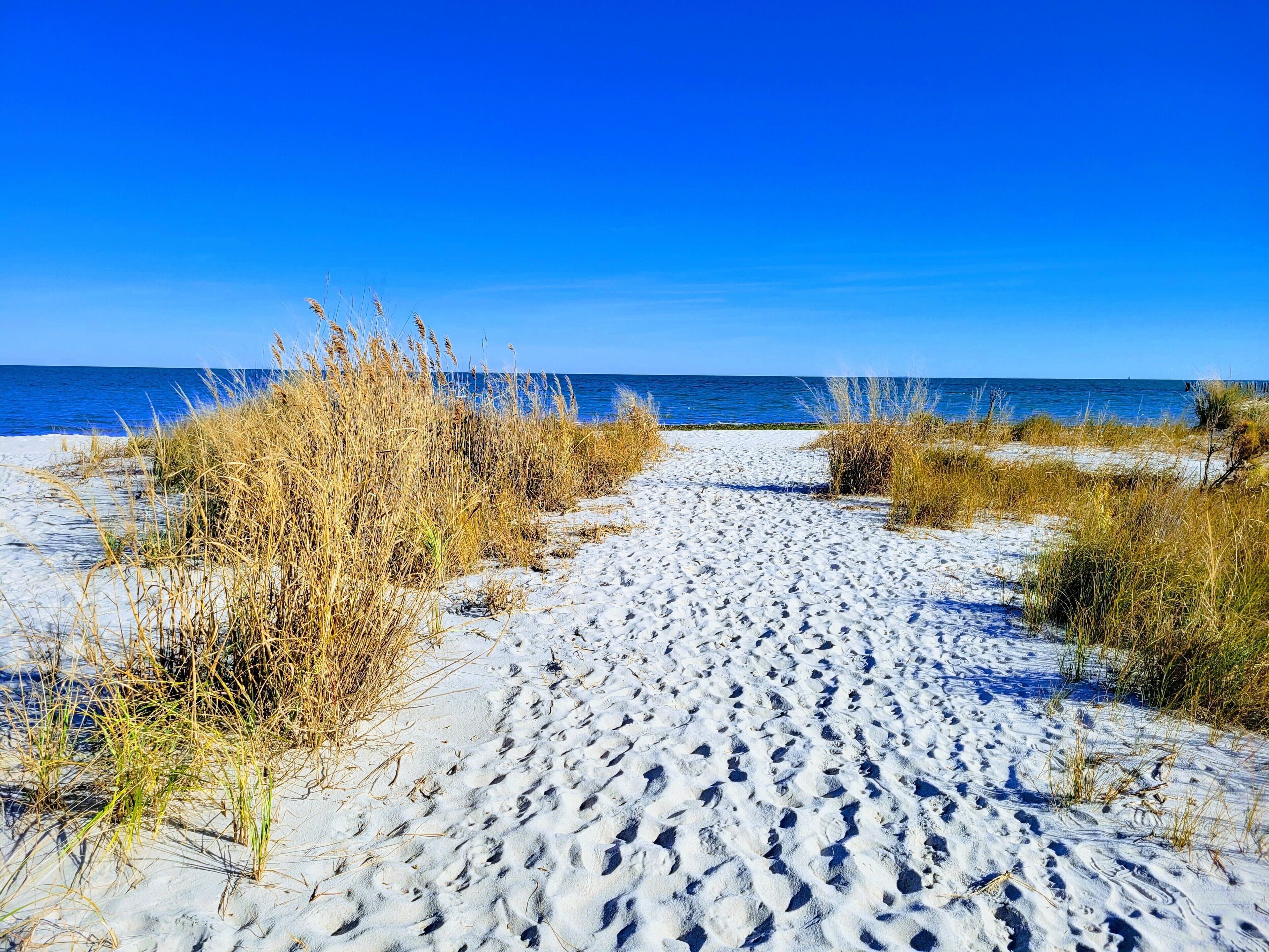 Aurinkotuoleja, rantapyyhkeitä