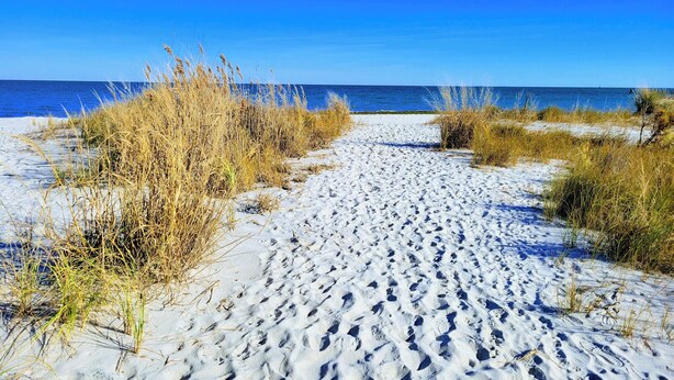 Un sentier de sable qui longe la plage et mène à l’océan, bordé d’herbes sèches.