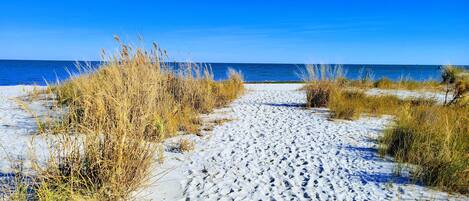 Chaises longues, serviettes de plage