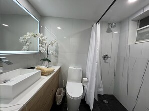 Shower, hair dryer, towels, soap