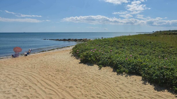 A beach with sand, water, and vegetation. - Close to Bike Path 1 Mile to Beaches! (South Chatham)