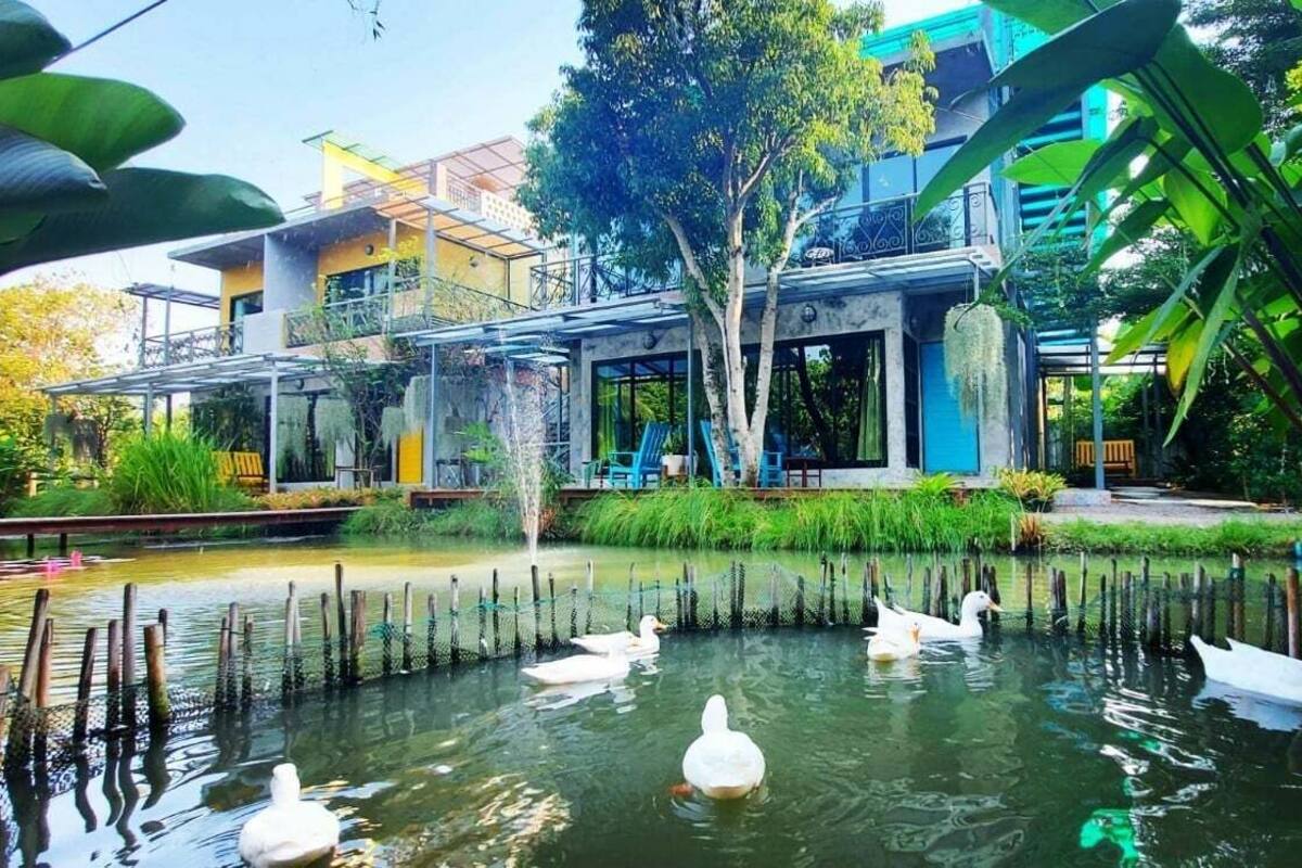 Un étang où nagent des cygnes, entouré d’une végétation luxuriante et bordé d’édifices à l’architecture moderne.