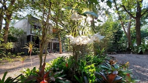 Deluxe Room | Front of property